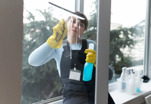 Nettoyage de vitres intérieures et extérieures à la Haye-Pesnel